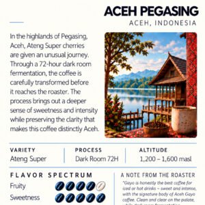 Aceh Pegasing